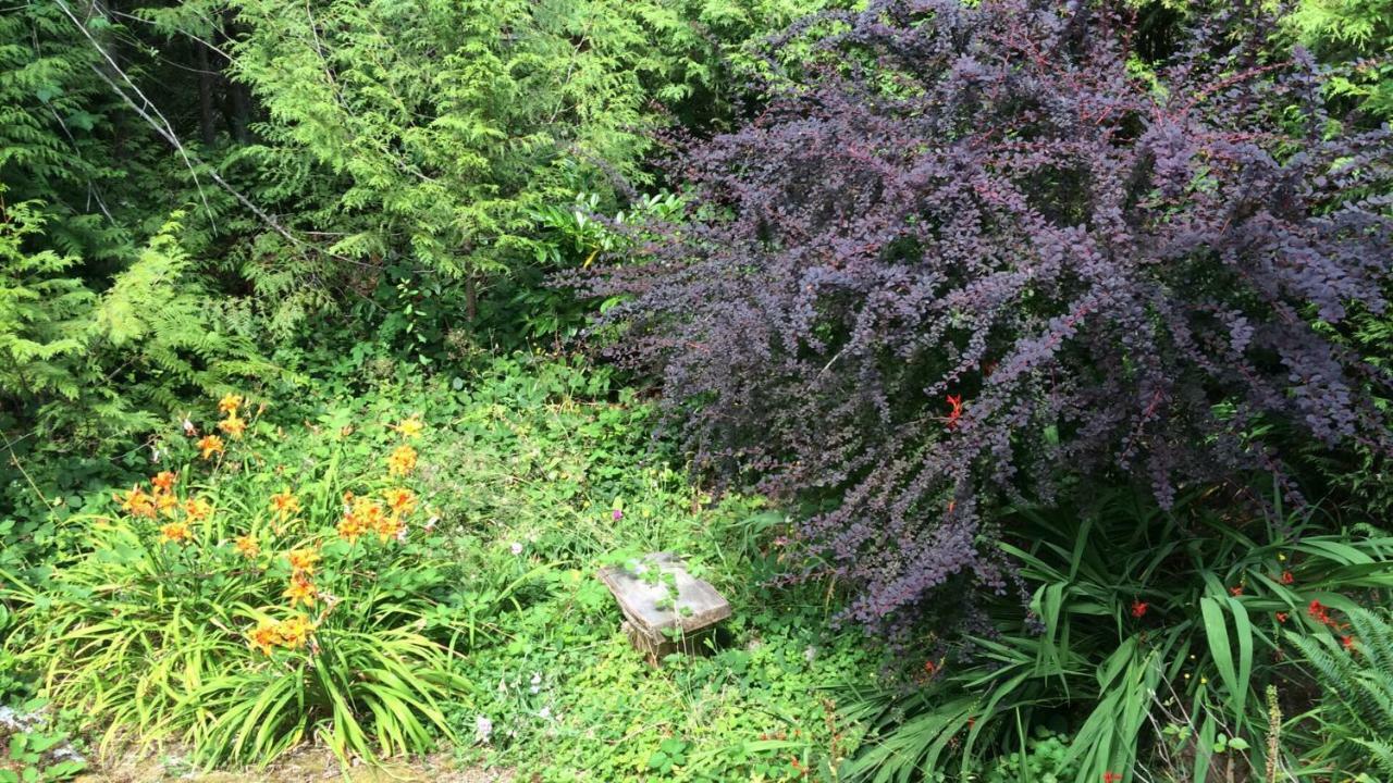 Secret Cove Cottage Suites Halfmoon Bay Екстер'єр фото